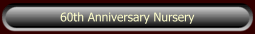 60th Anniversary Nursery
